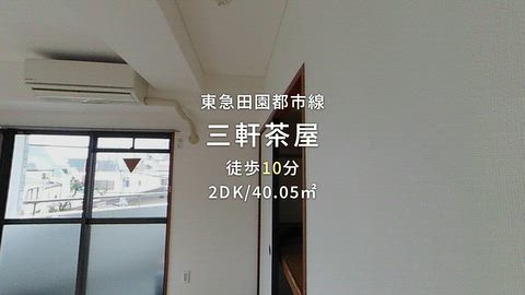 動画