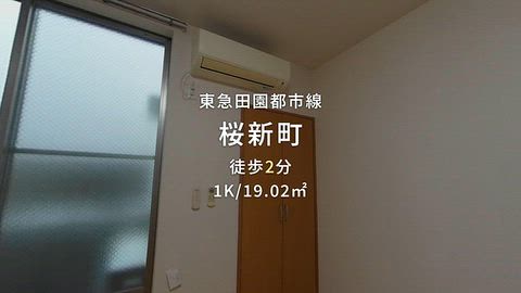 動画