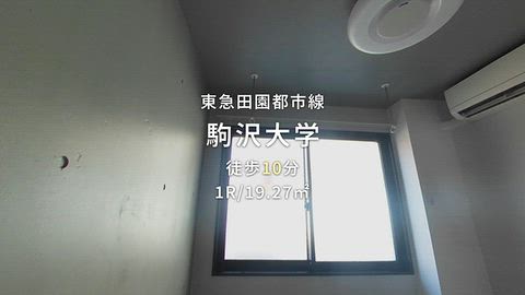 動画