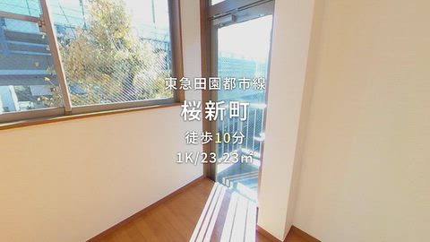 動画