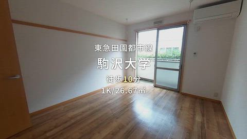 動画