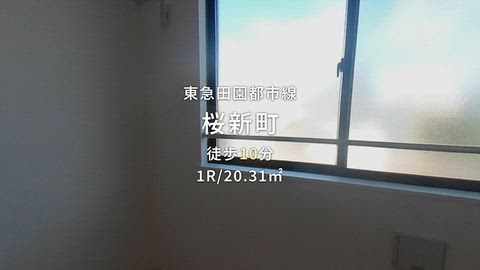 動画