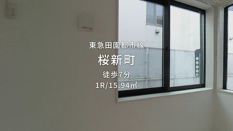 動画