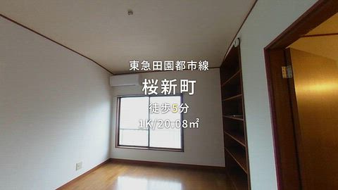 動画