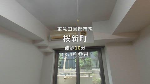 動画