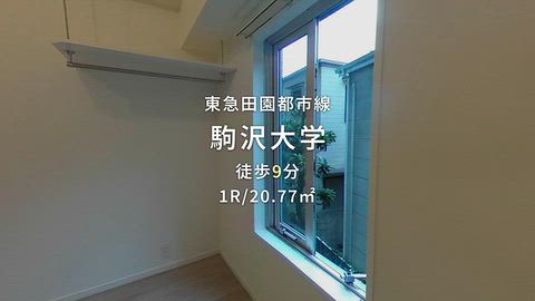 動画