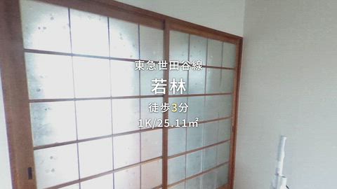 動画