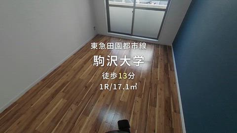 動画