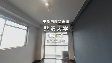 動画