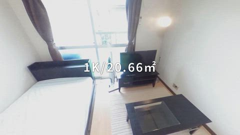 動画