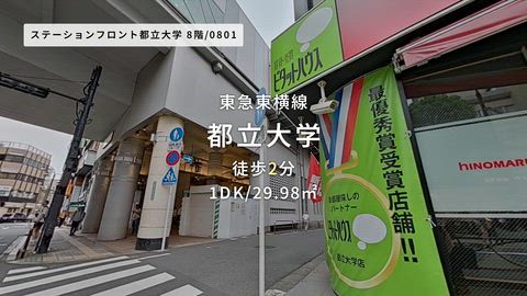 動画