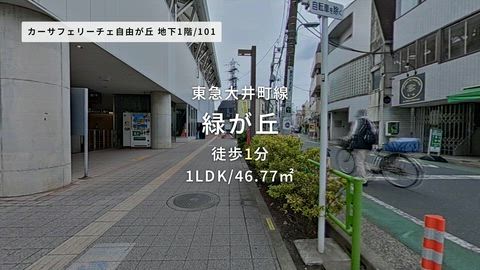 動画
