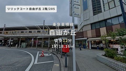 動画