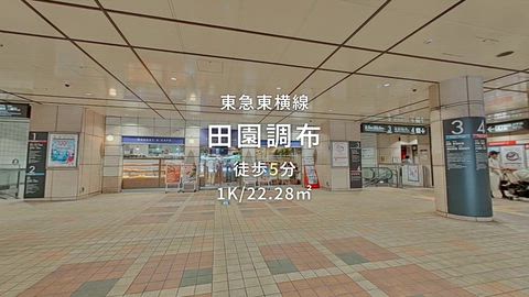 動画