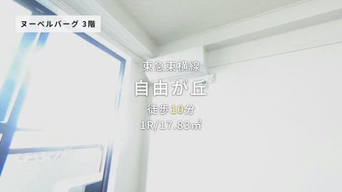 動画