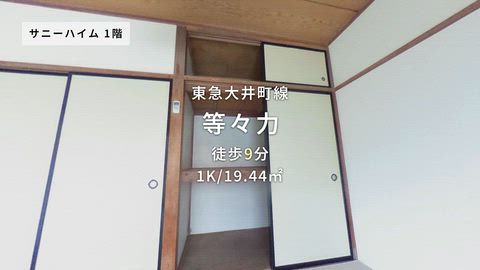 動画