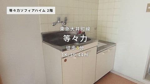 動画