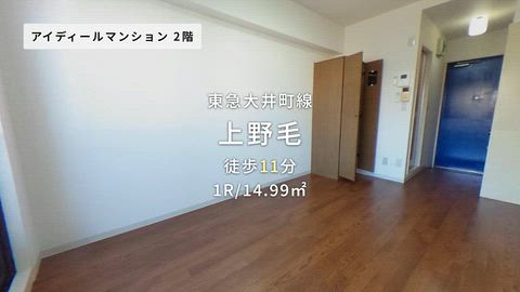 動画