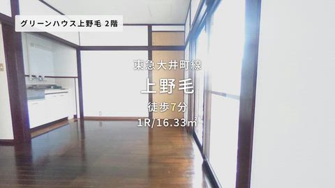 動画