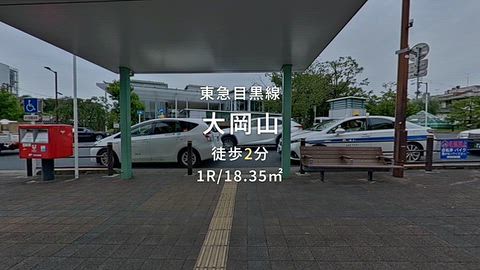 動画