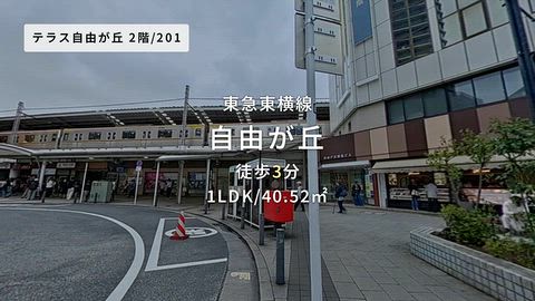 動画