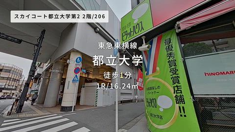 動画
