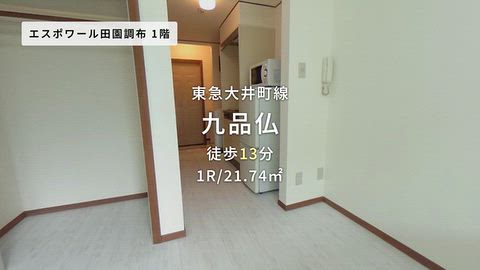 動画