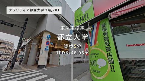 動画