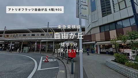 動画