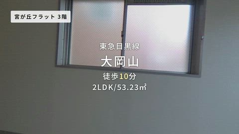 紹介ムービー