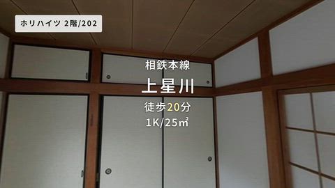 動画