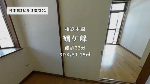 動画