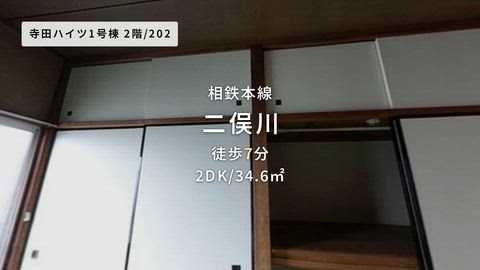 動画