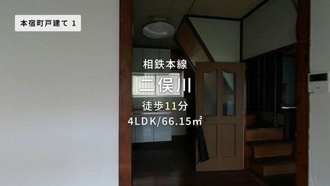 動画