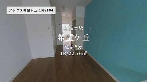 動画