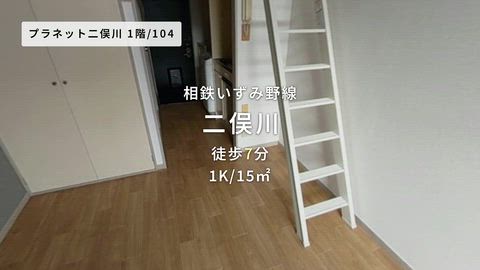 動画