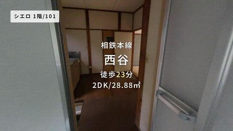 動画