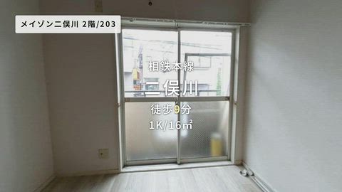 動画