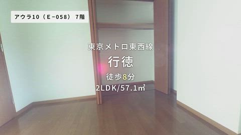 動画