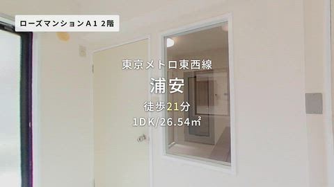 動画
