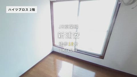 動画
