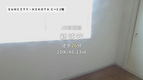 動画