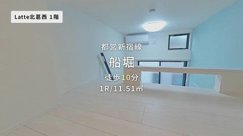 動画