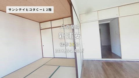動画
