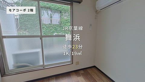 動画