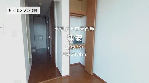 動画