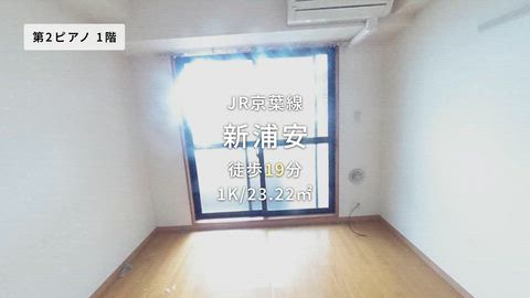 動画