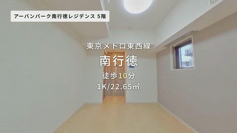 動画