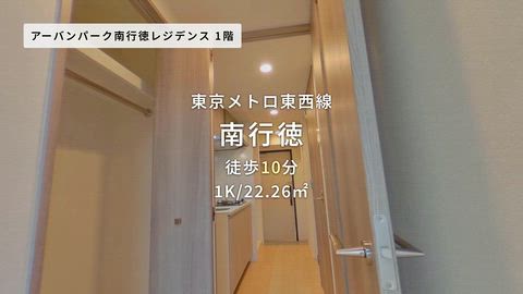 動画