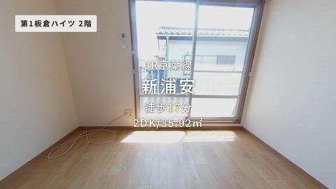 動画